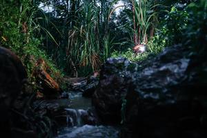 BIB: 
                            <button type="button" onclick="openModal(26206318)" class="btn btn-primary btn-sm float-right btn-popup" data-toggle="modal" data-target=".modal-high-quality">
                        <i class="fas fa-shopping-cart"></i> Add to Cart
                    </button>
                                            <button type="button" onclick="isThisMe(26206318, true)" class="btn btn-success btn-sm float-right btn-popup btn-isme hidden" data-toggle="tooltip" data-placement="bottom" title="นี่คือรูปของคุณใช่ไหม คลิกที่นี่เพื่อเอาเข้าอัลบั้ม">
                        <i class="fas fa-plus"></i> Add to album
                    </button>
                    <button type="button" onclick="isThisMe(26206318, false)" class="btn btn-warning btn-sm float-right btn-popup btn-isnotme hidden">
                        <i class="fas fa-ban"></i> Remove from album
                    </button>